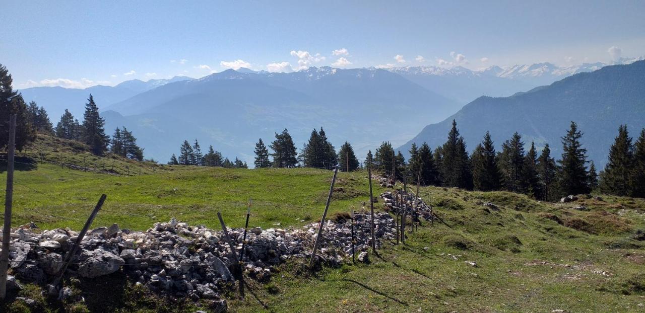 קלטנבאך Ferienwohnungen Hochzillertal מראה חיצוני תמונה