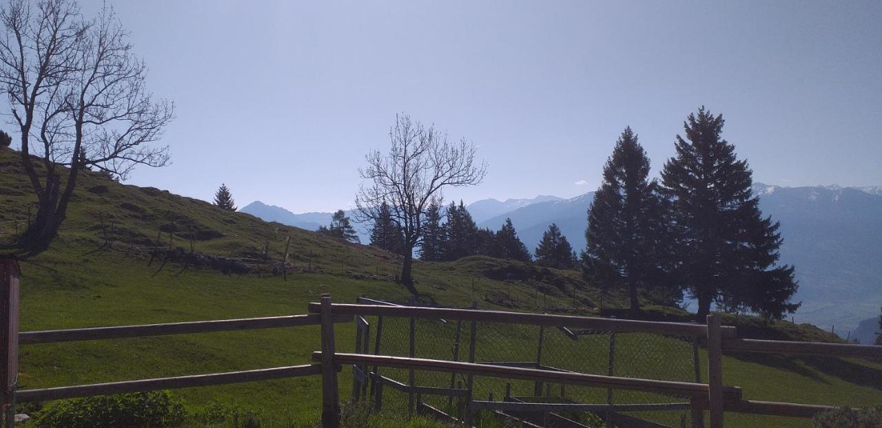 קלטנבאך Ferienwohnungen Hochzillertal מראה חיצוני תמונה